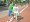 run (19).jpg